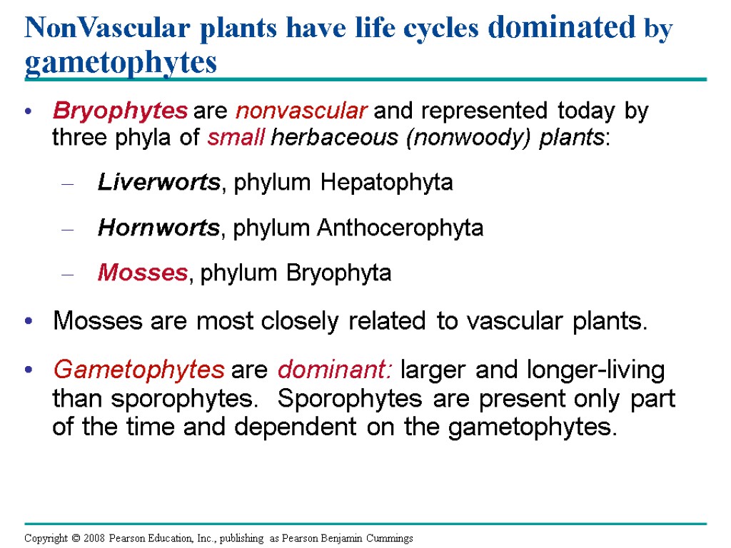 NonVascular plants have life cycles dominated by gametophytes Bryophytes are nonvascular and represented today